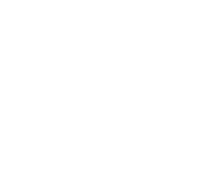 ISO 9001 V1 white